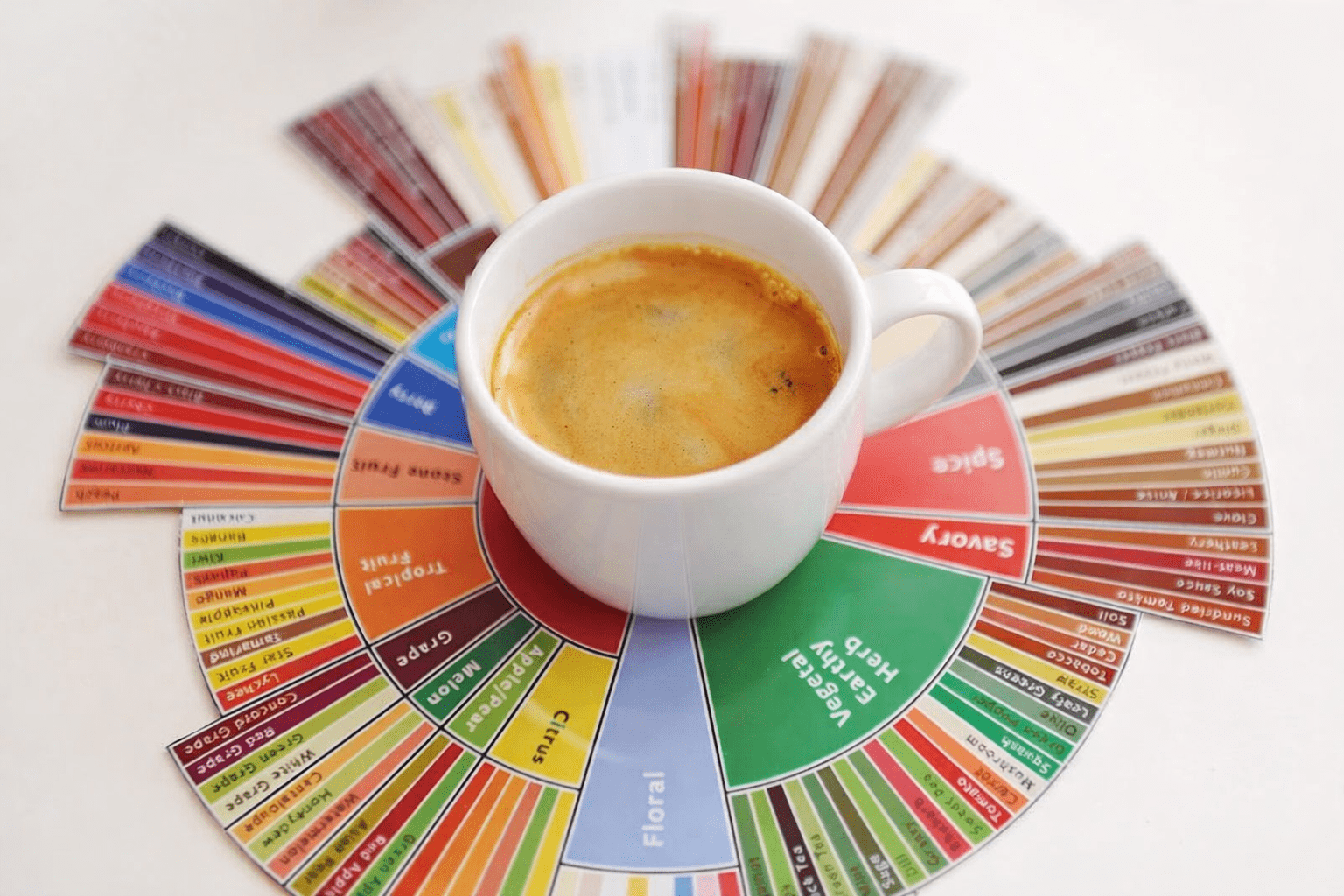 Cata de café